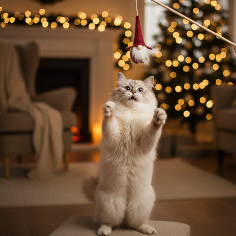 Wonder Christmas Juguete de Caña Santa Navideño para gatos thumbnail