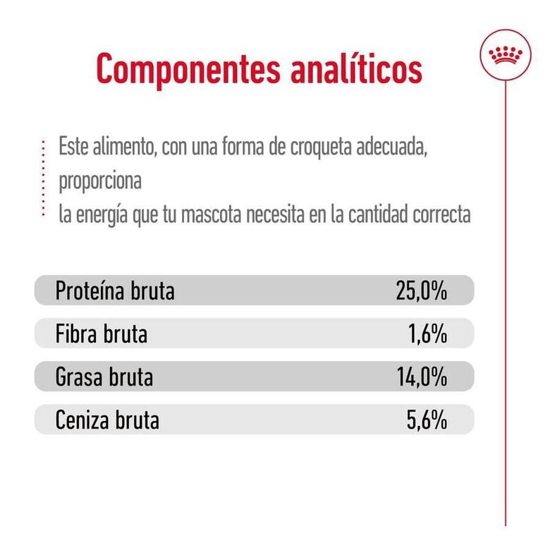 Royal Canin Medium 7+ Adult pienso para perros senior thumbnail