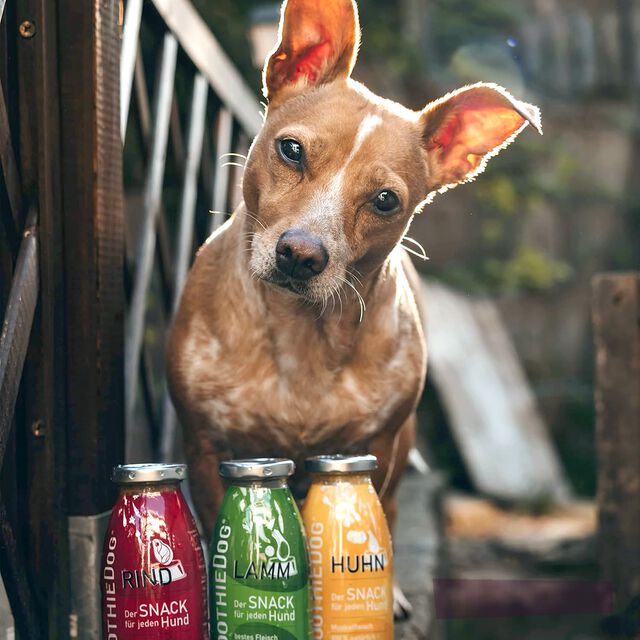 Batidos SmoothieDog Cordero para perro, , large Imagen numero 2