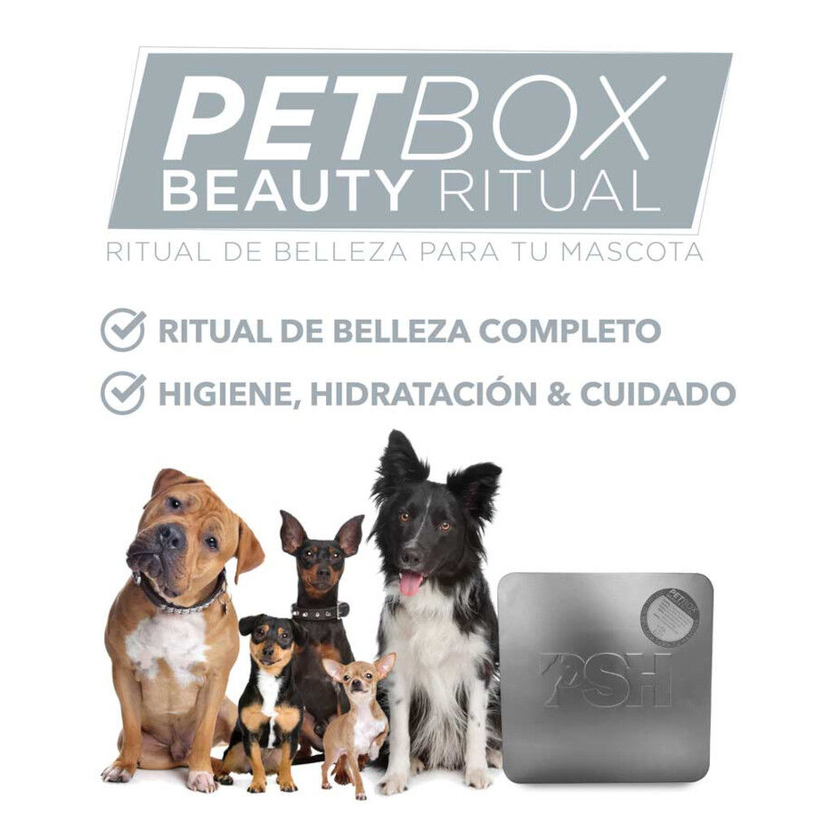 PSH Petbox Beauty Ritual Kit de Higiene para perros, , large Imagen numero 5