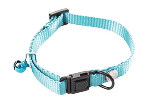 Martin Sellier Collar Turquesa para perro