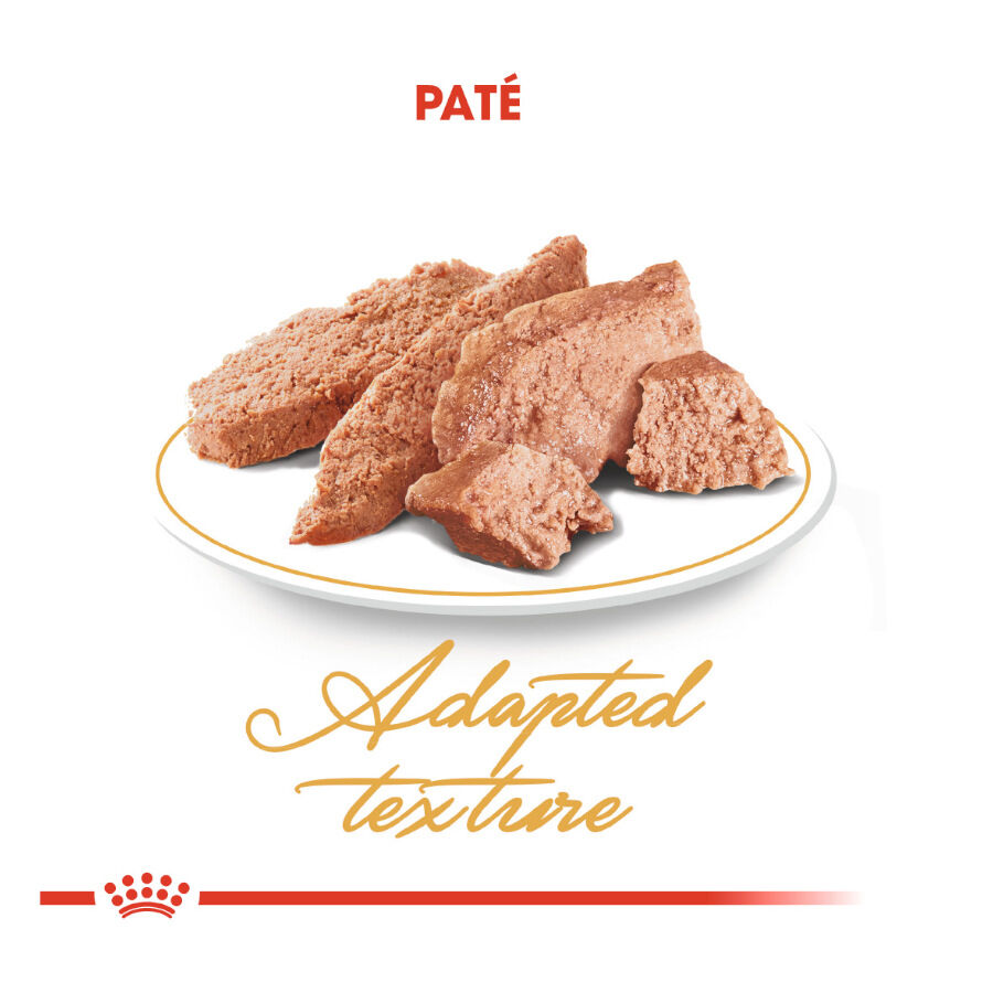 Royal Canin Feline Persian Adult sobres para gatos thumbnail