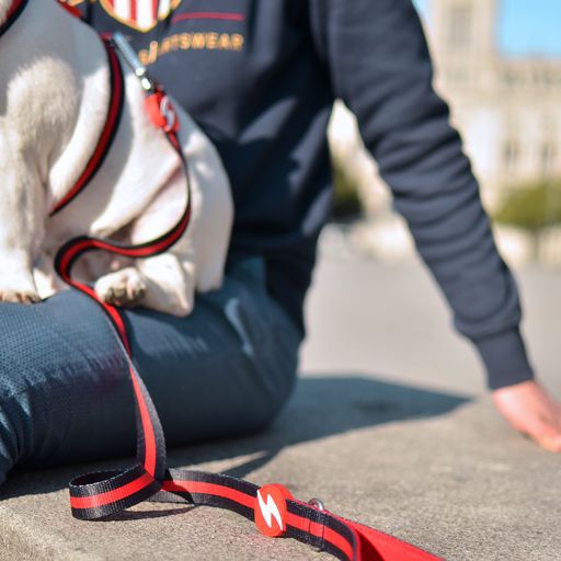 Dashi stripes correa de poli&eacute;ster rojo y negro para perros, , large Imagen numero 3