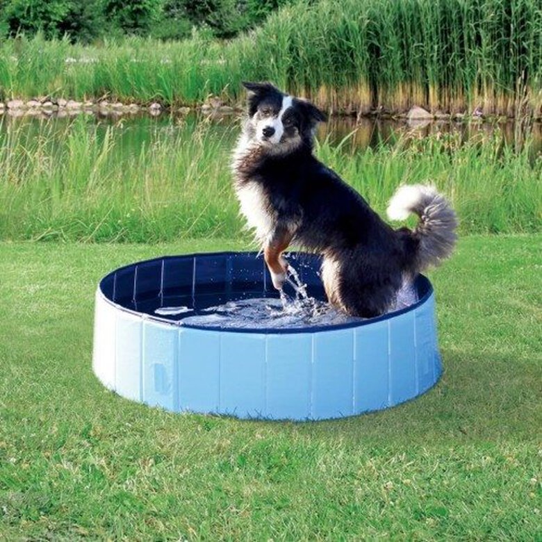 Piscina para perros color Blue, , large image number null