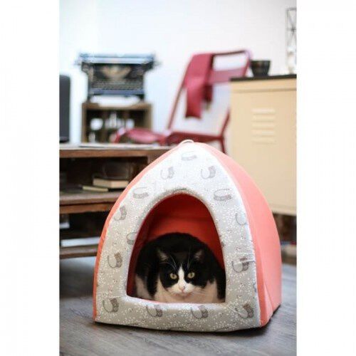 AIME tipi de espuma naranja para gatos, , large Imagen numero 5