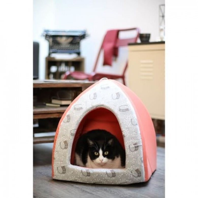 AIME tipi de espuma naranja para gatos thumbnail