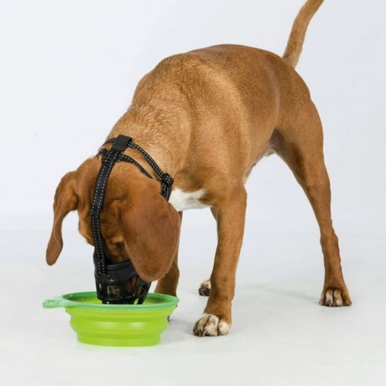 Bozal para perros color Negro thumbnail