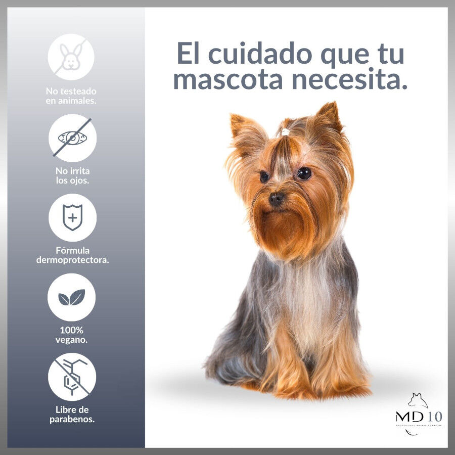 Pack Productos Yorkshire Terrier - Fabricado Espa&ntilde;a - MD10 COLLECTION, , large Imagen numero 3