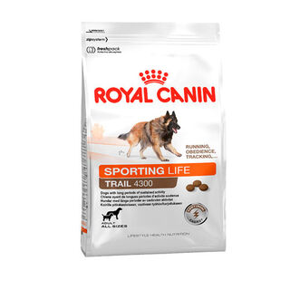 Royal Canin Sporting Life Endurance Adult 4300 pienso para perros
