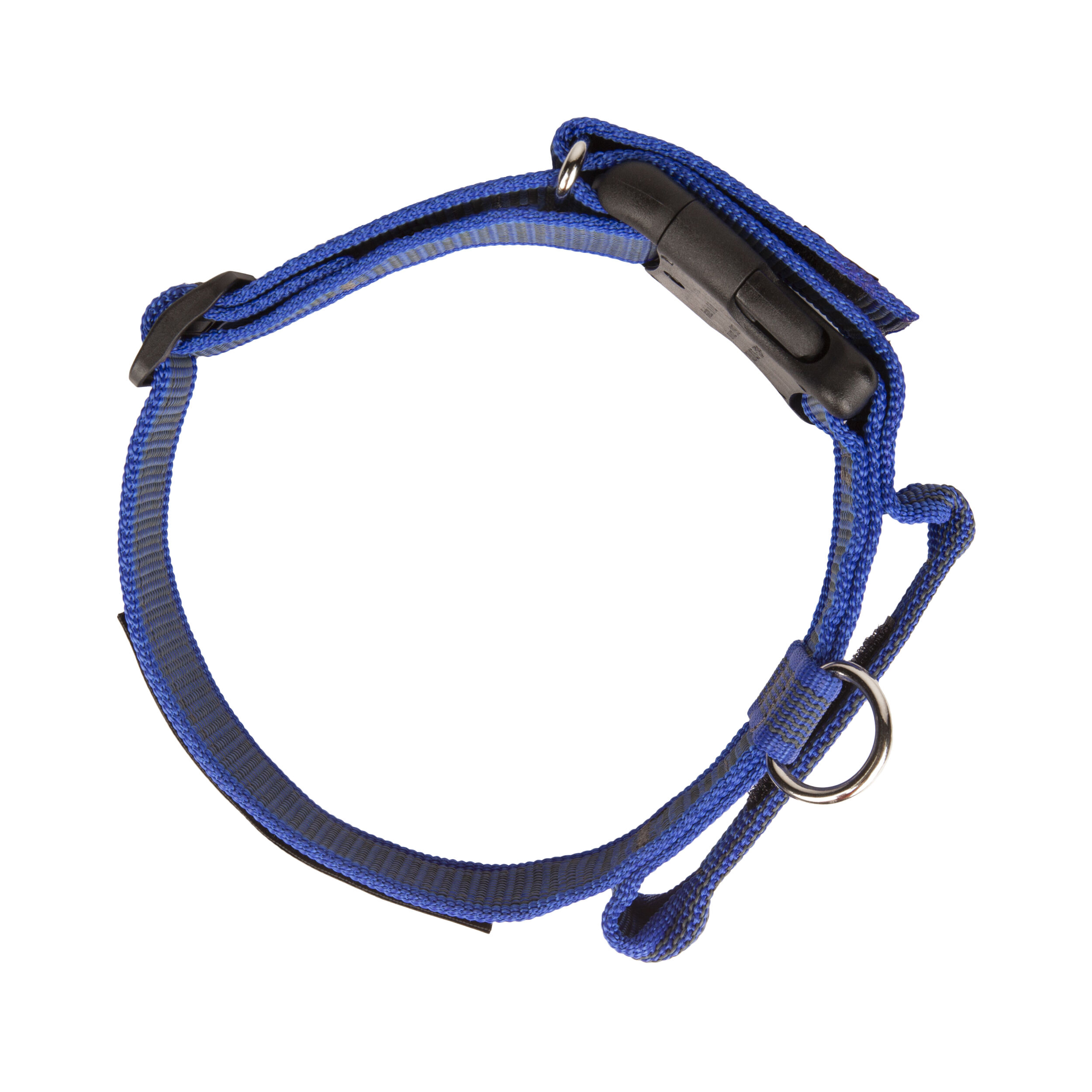 Collar asa de agarre Julius K9 50mm, , large Imagen numero 4