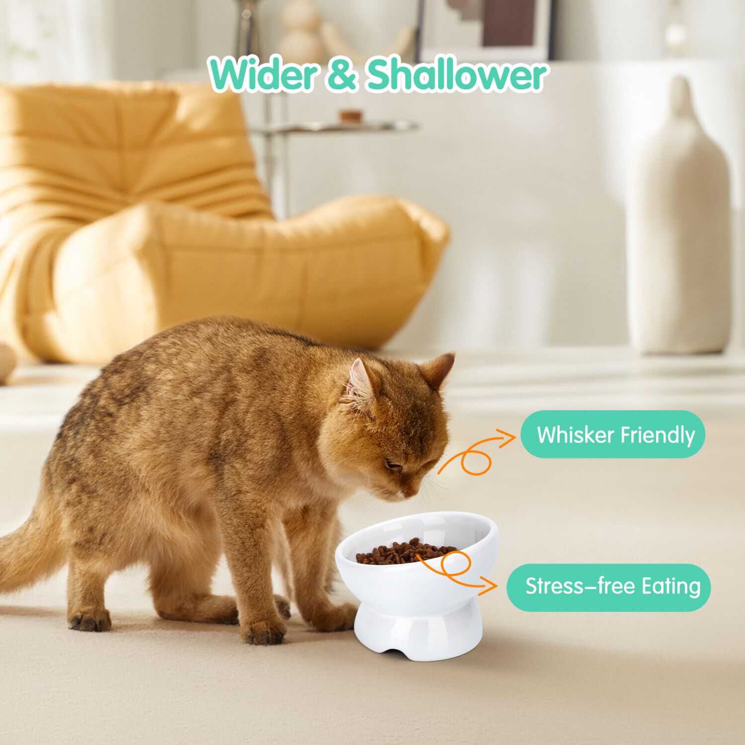 Nobleza - Comedero Cer&aacute;mica para Gatos, Comedero para Gatos Elevado con Inclinaci&oacute;n de 15&deg;, Reducir la Presi&oacute;n del Cuello y Prevenir los V&oacute;mitos, Comedero Gato para Gatos y Cachorros, Blanco, , large Imagen numero 5