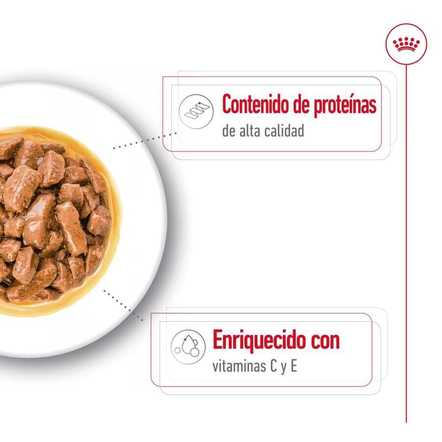 Royal Canin Medium Adult Sobre en salsa para perros thumbnail