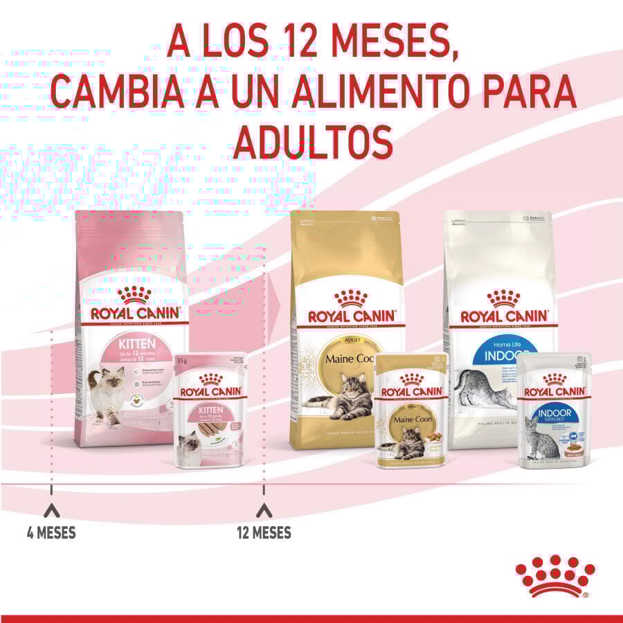 Royal Canin Kitten paté sobre para gatos thumbnail