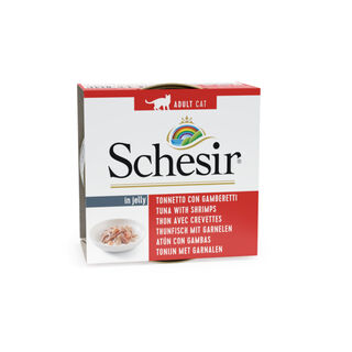 Schesir, Comida húmeda para Gatos Adultos, Sabor bacoreta con anchoas en  gelatina Blanda - Total 2 kg (24 latas monodosis x 85 gr) : :  Productos para mascotas