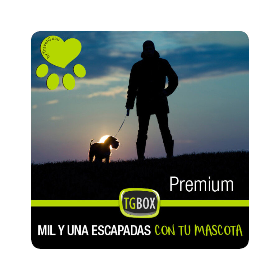 Tgbox Mil y una escapadas con tu mascota PREMIUM, , large Imagen numero 1