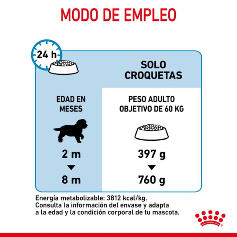 Royal Canin Puppy Giant pienso para perros, , large image number null