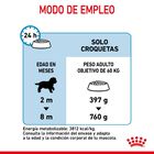 Royal Canin Puppy Giant pienso para perros, , large image number null