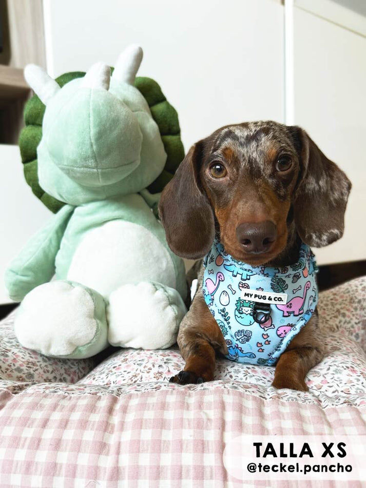 Arn&eacute;s Ajustable Doggysaurus, , large Imagen numero 2