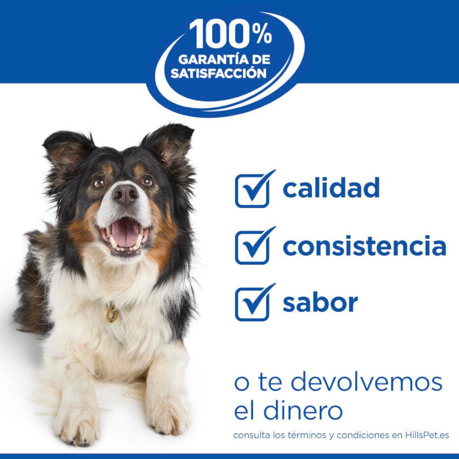 12 kg Hill's Science Plan Light Mature Adult 7+ Medium Pollo pienso para perros, , large Imagen numero 10