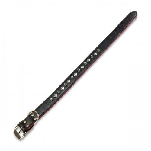 Arquivet collar piel color negro para perros, , large Imagen numero 1