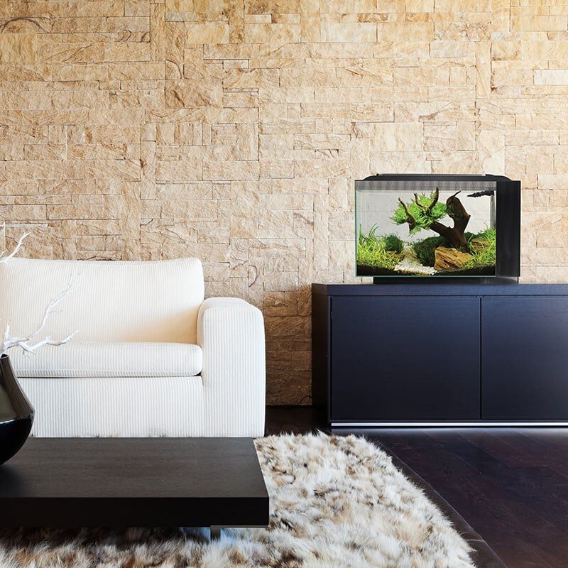 Fluval Spec Nano Acuario Negro, 60L, , large Imagen numero 3