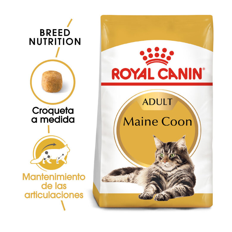 Royal Canin Adult Maine Coon pienso para gatos, , large image number null