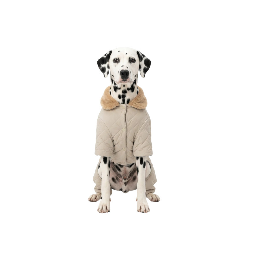 Gotoo Abrigo Acolchado con Mangas para perros, , large Imagen numero 7