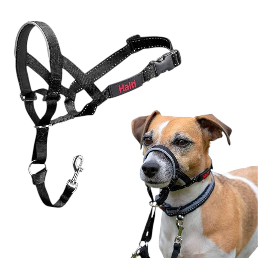 Halti collar con bozal de tela negro para perros thumbnail