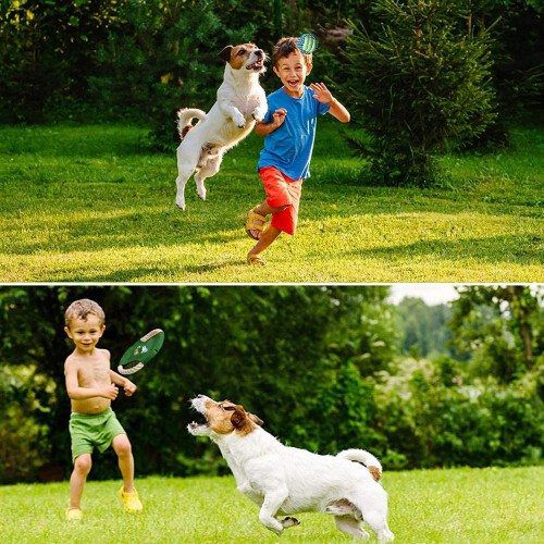 Set juguetes para perro color Multicolor thumbnail