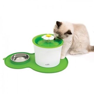 Tazón individual Catit Arch It Archid para gatos color Verde