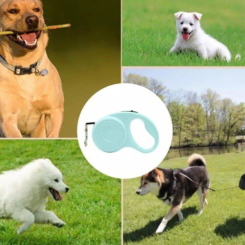 Correa extensible para perro color Verde, , large Imagen numero 3