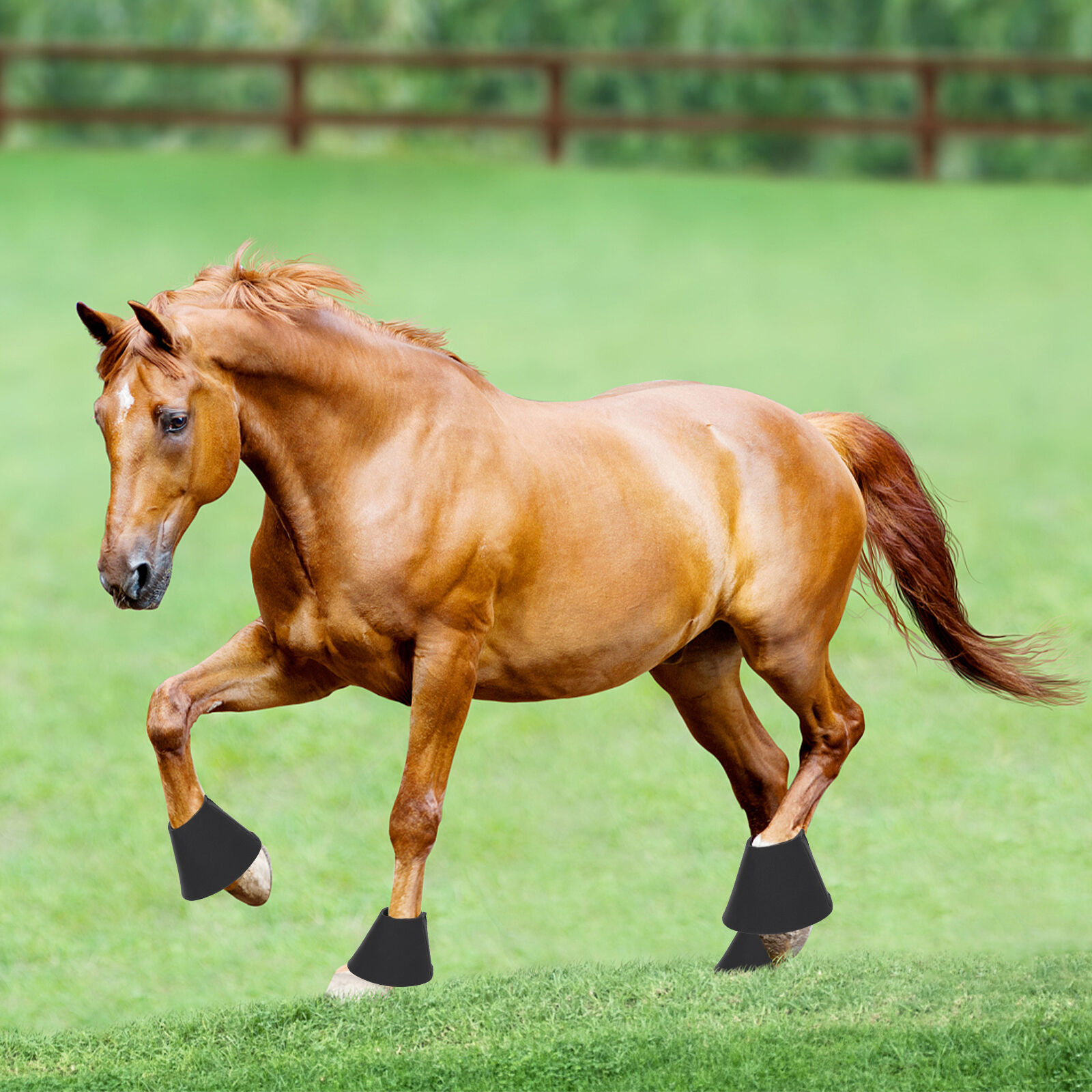 Nobleza Campanas Campanas De Saltar para caballos thumbnail