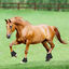 Nobleza - Campanas para Caballos, Campanas de Saltar de Neopreno, Protección para Pezuñas para Equitación (Negro), , large indicador imagen numero 5