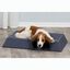 Cama de tapicer&iacute;a de tela para perros color Gris, , large indicador imagen numero 2