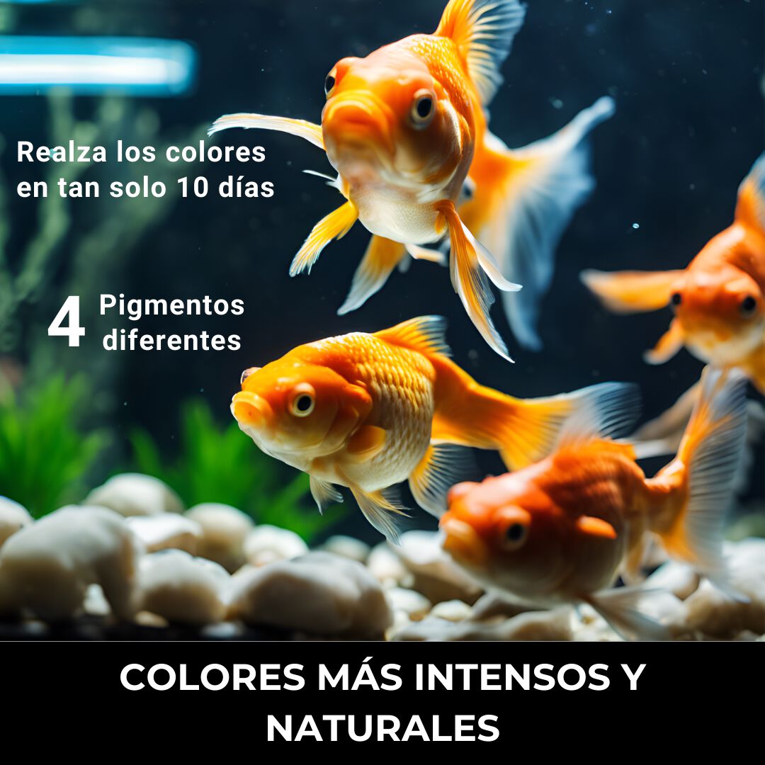 Comida Para Peces Goldfish - Colorantes Naturales Incros Goldfish 1000Gr, , large Imagen numero 4