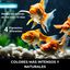 Comida Para Peces Goldfish - Colorantes Naturales Incros Goldfish 1000Gr, , large indicador imagen numero 4