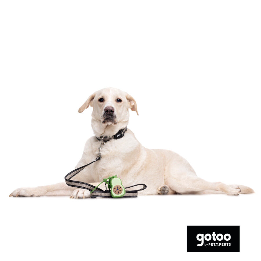 Gotoo Collar de malla transpirable gris para perros thumbnail