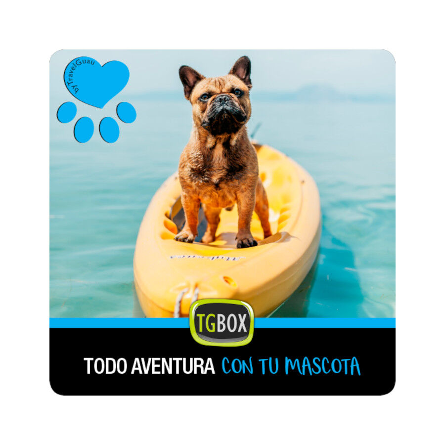 Tgbox Todo aventura con tu mascota, , large Imagen numero 1