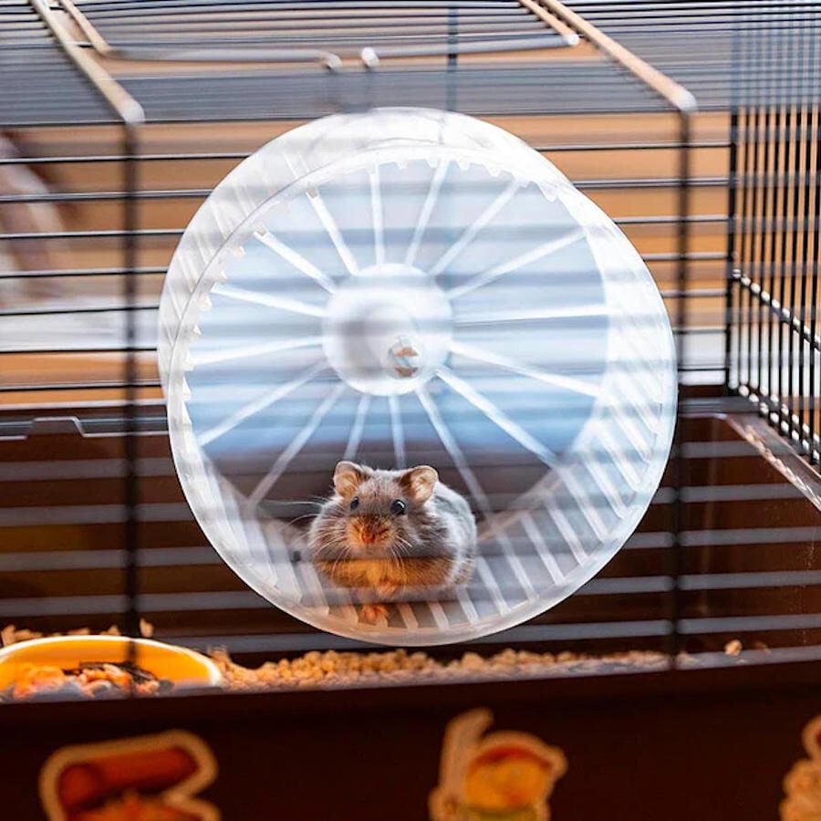 Ferplast Criceti 9 Piratas Negra Jaula para roedores thumbnail