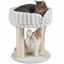 COSTWAY 40 x 40 x 50,5 cm &Aacute;rbol para Gatos Peque&ntilde;o (Beige) | Torre para Gatos con Plataforma Superior de Felpa, Rascadores de Sisal, Bola Colgante, Torre gato Interior para Mascotas, , large indicador imagen numero 1