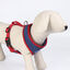 DC Comics Supermascotas Arnés Estampado para perros, , large indicador imagen numero 3