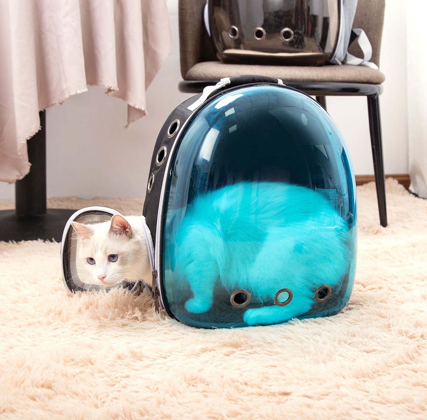 Nobleza-Mochila para Perros, Mochila Gato Transparente, Mochila Expansible Aprobada por Las Aerol&iacute;neas para Perros Peque&ntilde;os, para Paseos, Senderismo o Camping, , large Imagen numero 4