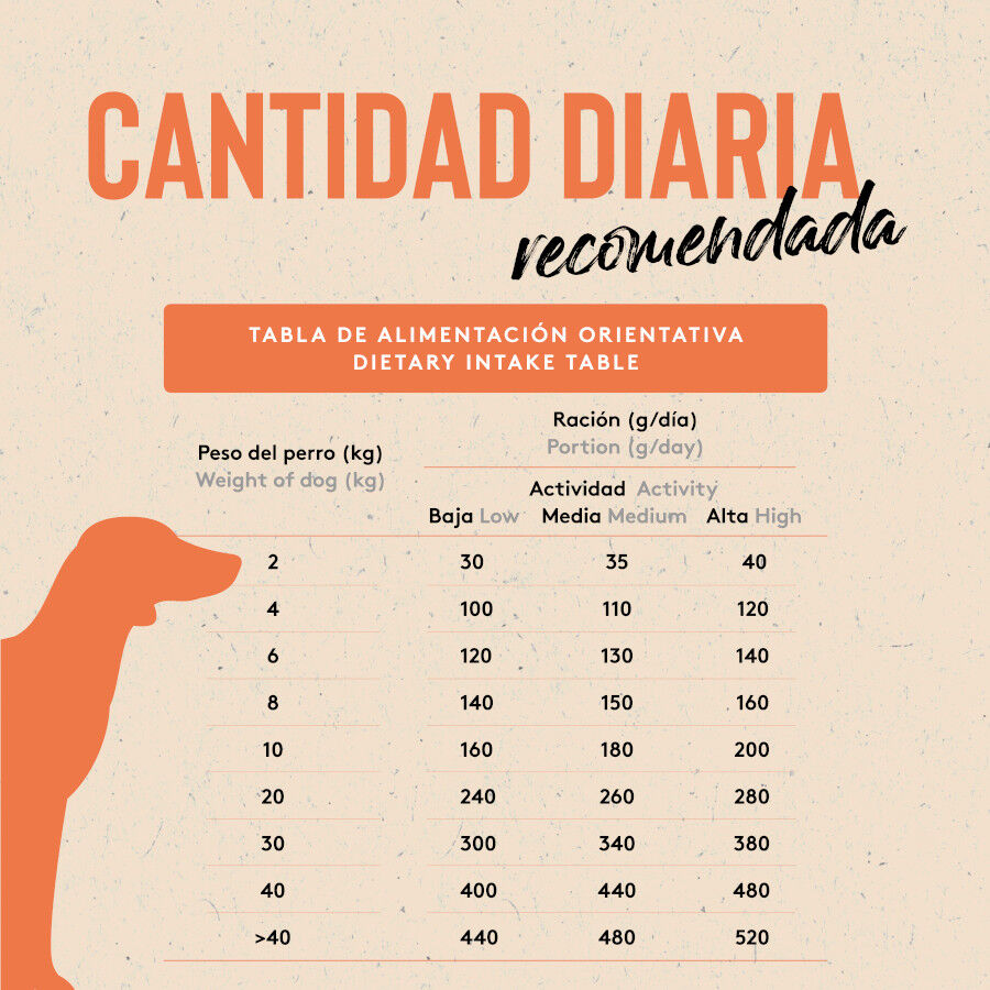 12 kg Dibaq Sense Low Grain Adult Pescado Pienso para perro, , large Imagen numero 5