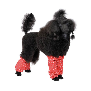 Ibañez "Polka Dots" Leggings, protectores de patas y cuello para perros