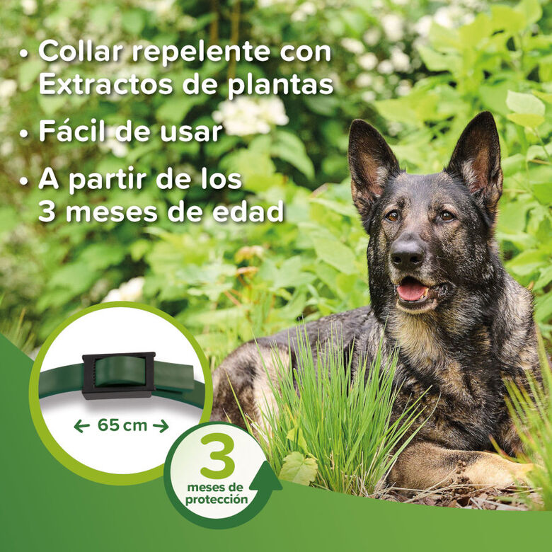 Beaphar Collar repelente para perros thumbnail