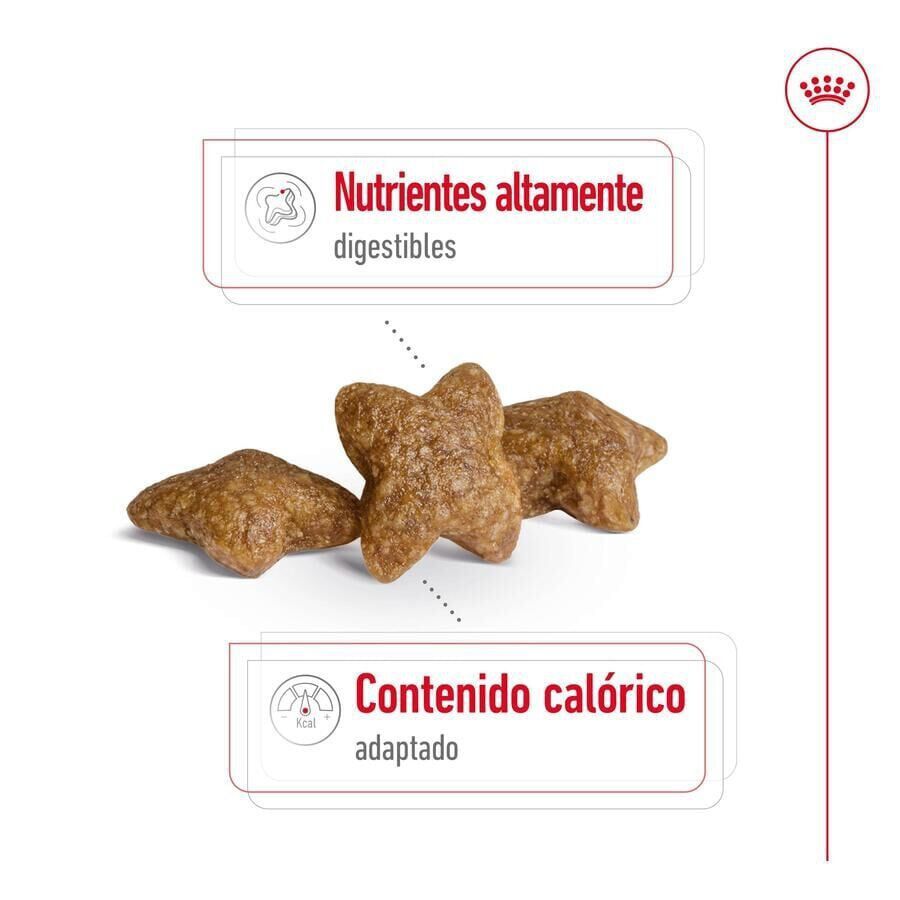 Royal Canin Mini Adult pienso para perros thumbnail