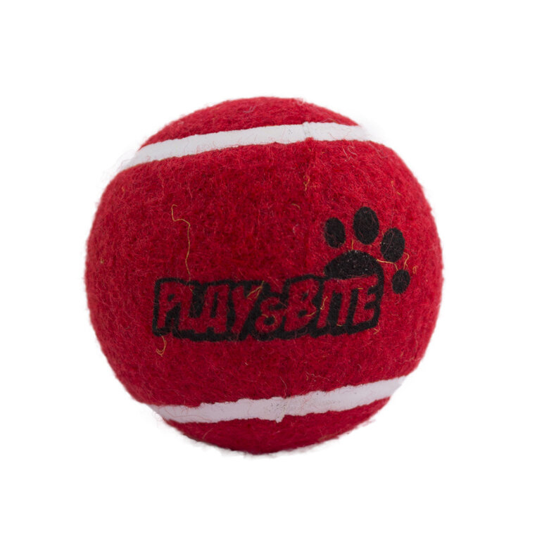Play & Bite Pelota de Tenis Roja para perros, , large image number null