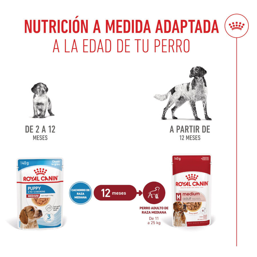 Royal Canin Medium Puppy Sobres para perros thumbnail