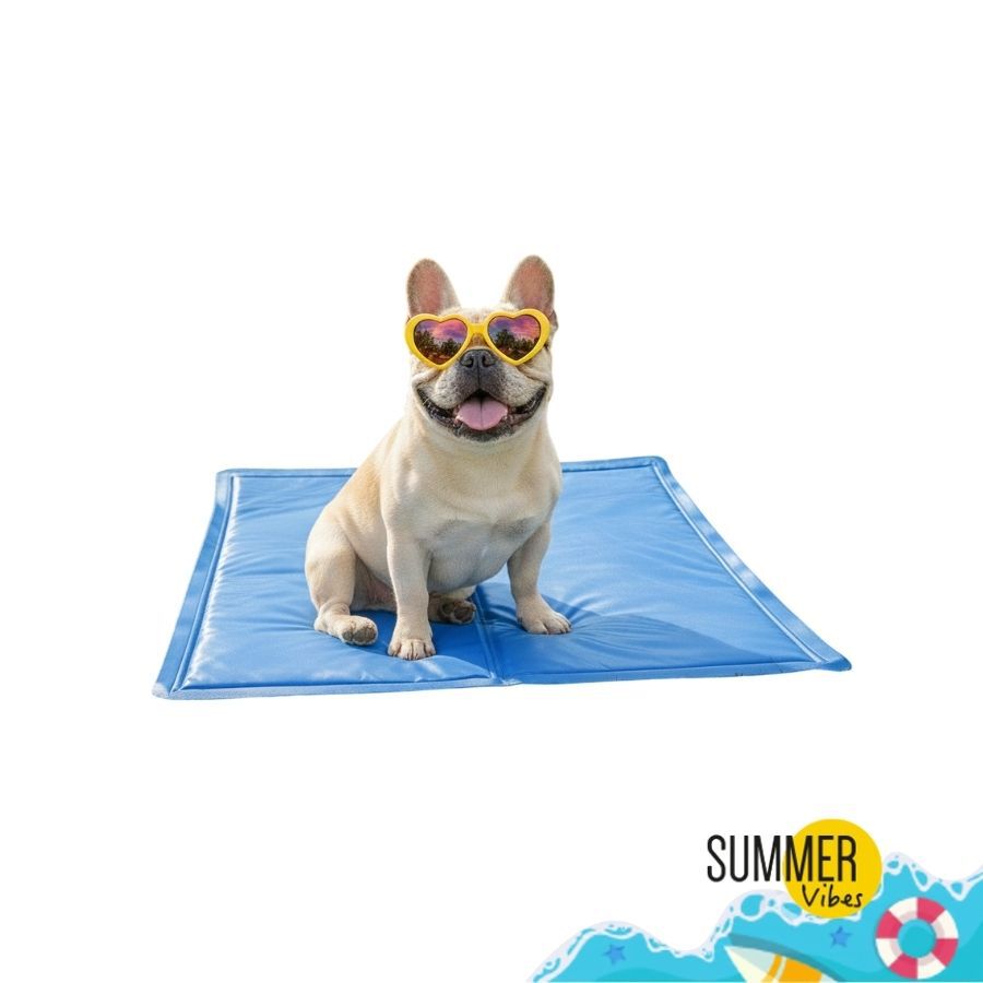 Summer Vibes Manta Refrescante Azul para perros, , large Imagen numero 6