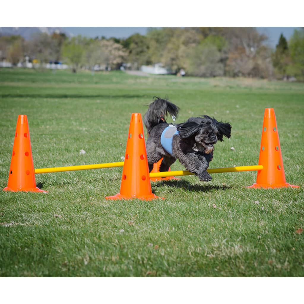 FitPAWS Juego de obst&aacute;culos, , large Imagen numero 3